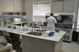 lab1