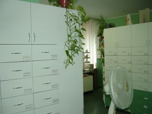 skakovaya_gallery4